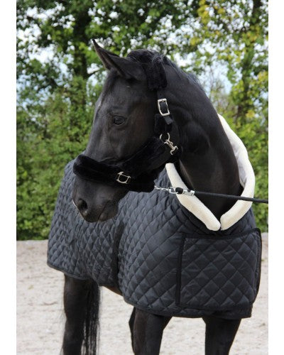 HB Showtime showdeken Desir