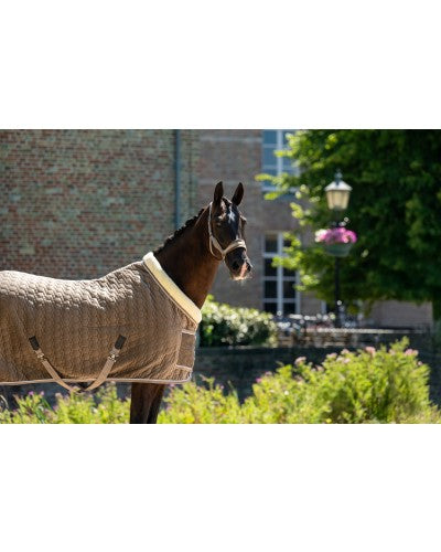 HB Showtime Special Sierdeken