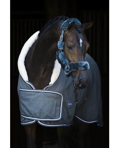 HB Polar 400 Dutch Crown