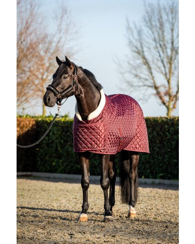 HB Showtime showdeken Burgundy Desir