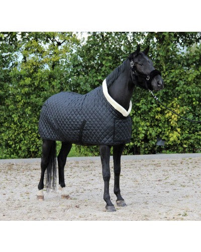 HB Showtime showdeken Desir