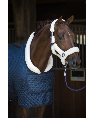 HB Showtime showdeken Steelblue Desir